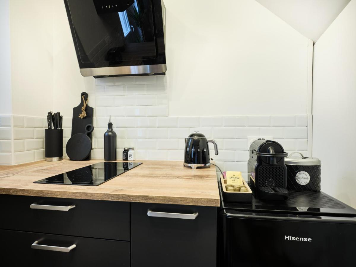 Tres Elegant Duplex, Proche Gare Apartman Grenoble Kültér fotó